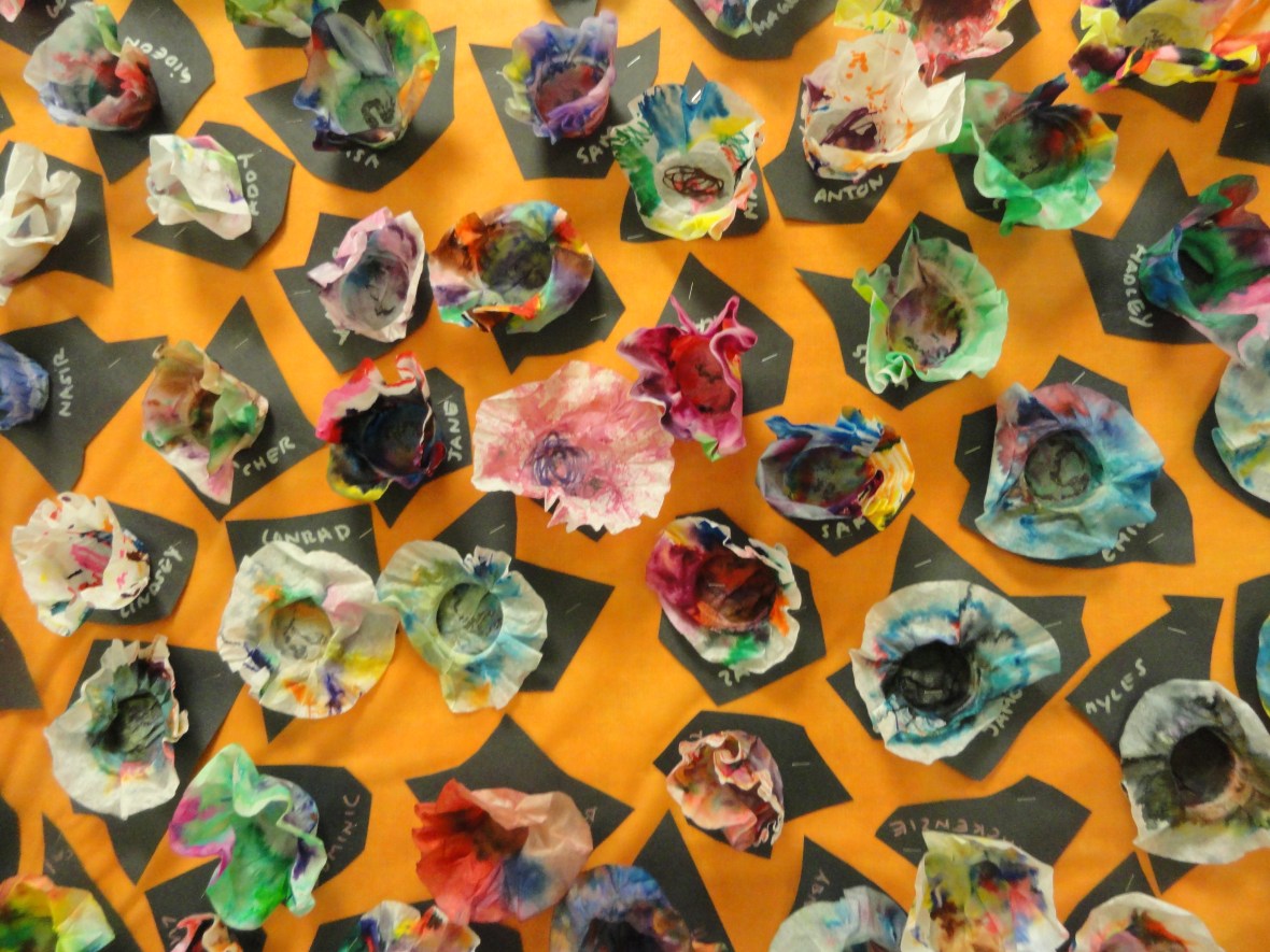 maury and chicago 159