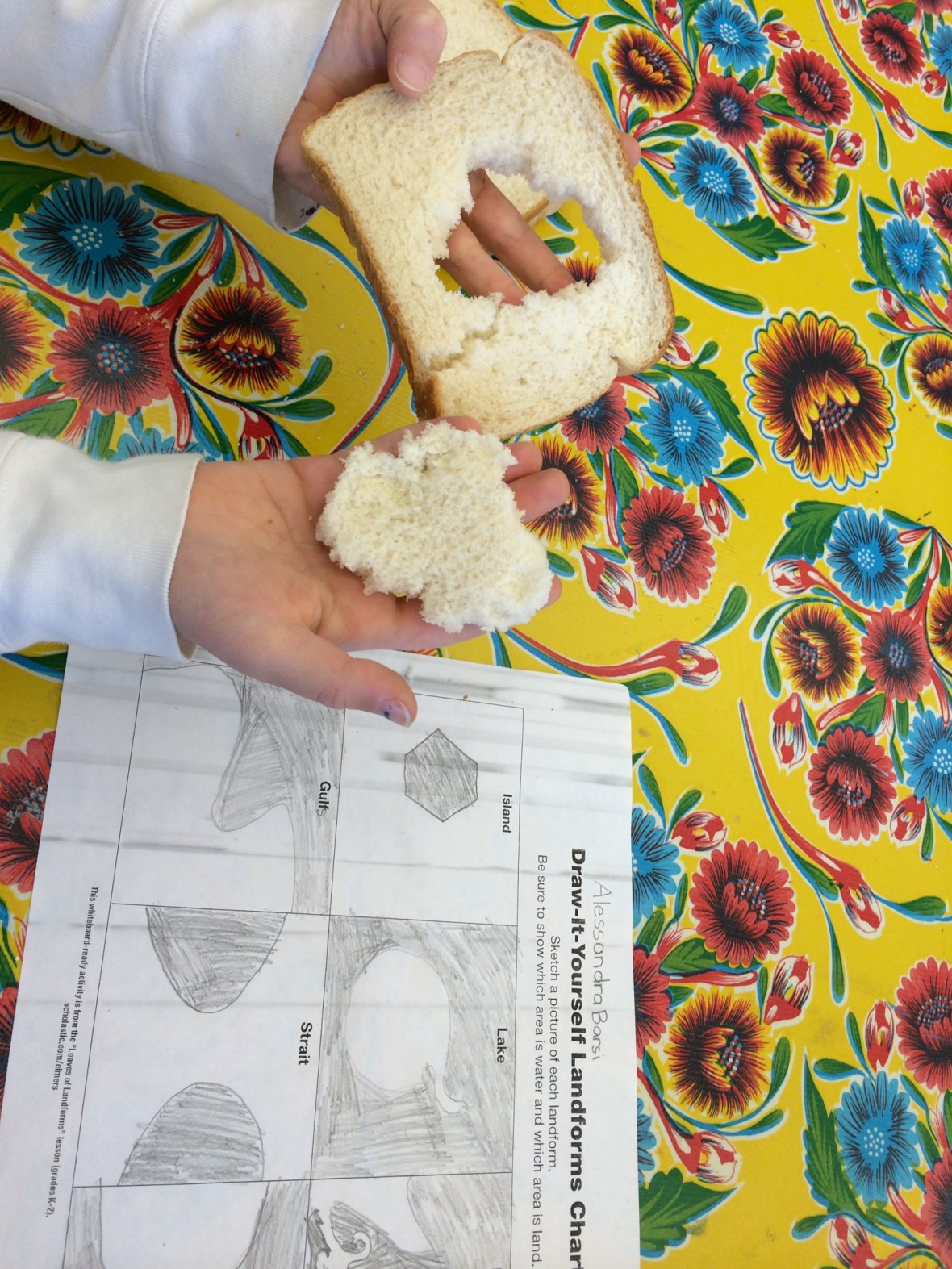 01bc827e5cd6bc09d7d191b57d128cf8d965b13b58