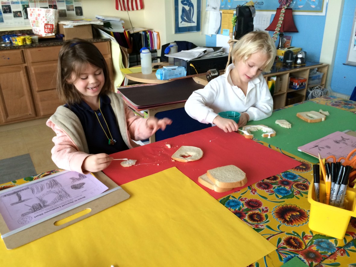 01d93e8e2a743ae5b39f7b80043405118d529894ab