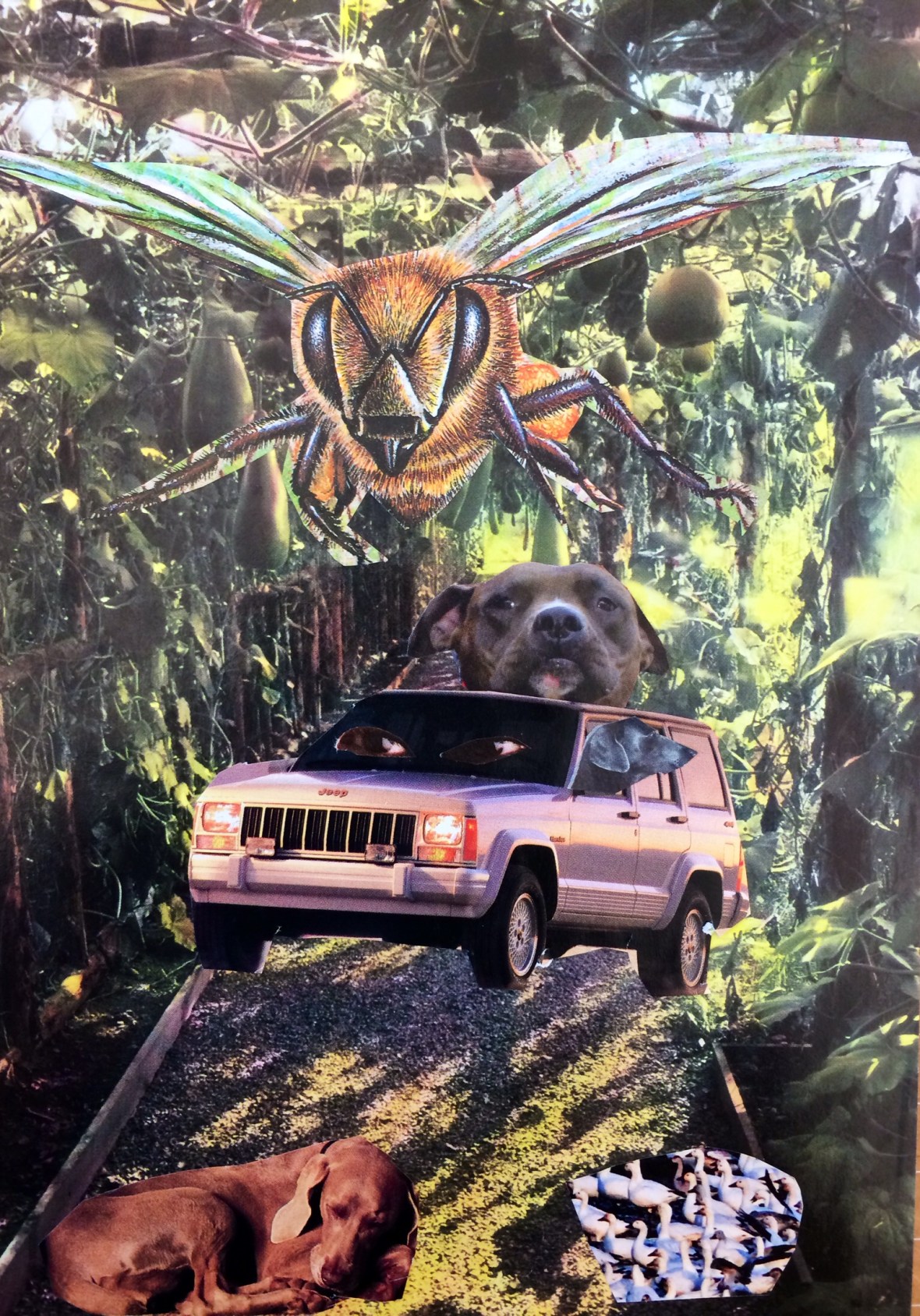 01204e9cf1b58fae419edffd4f32cbb3e1dd7cbfaf