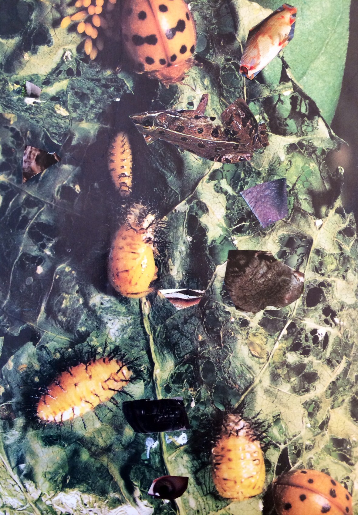 01ebf853cd8b5c96112ce844472629e6ad6079c8c5