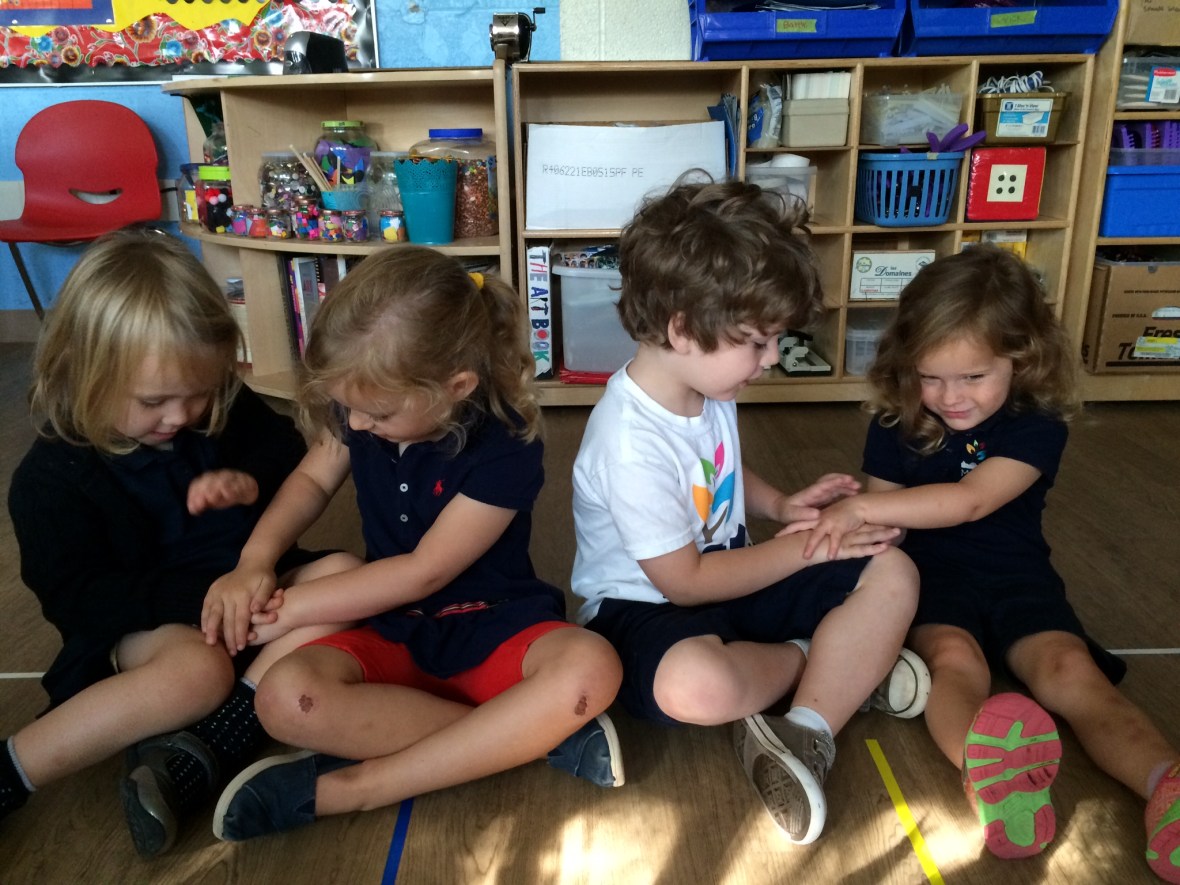 015b199134758e2114a174855303cf585765fd8d0b