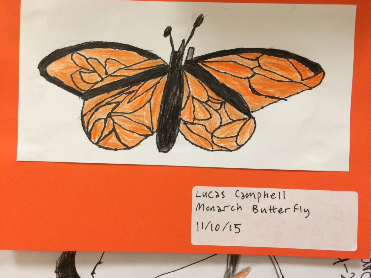 01013a2ecd0dd614cd27861ea8a7c5777272f17a83