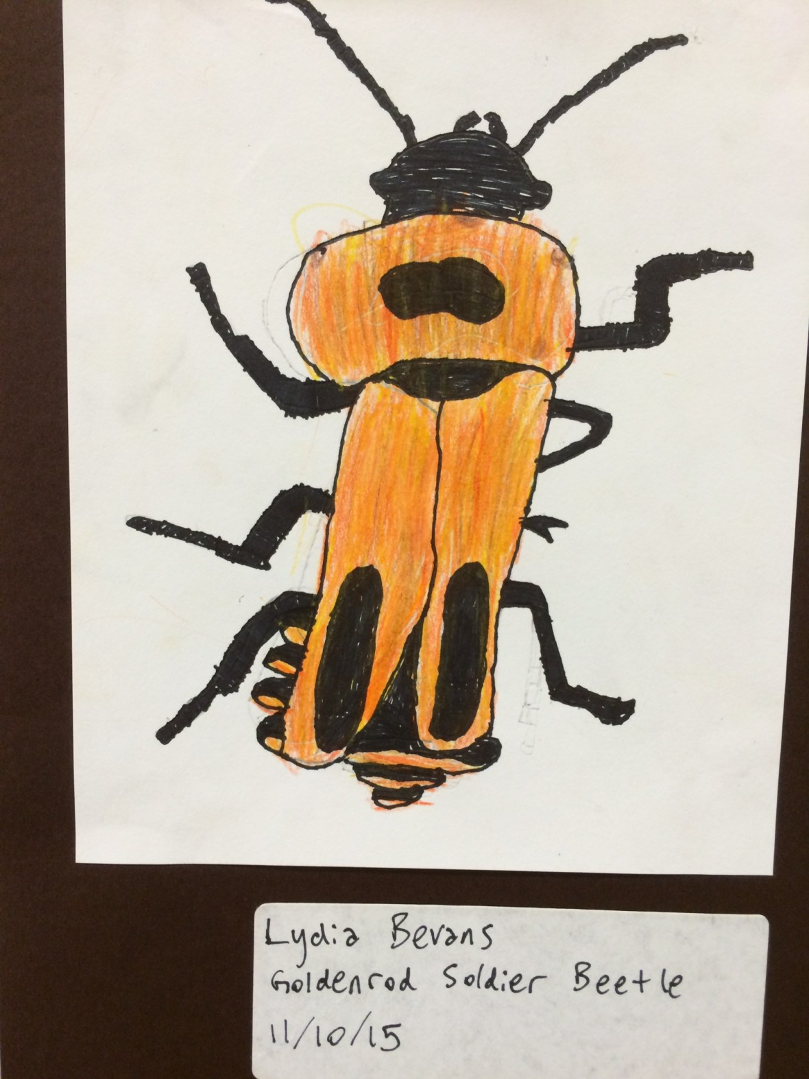 010bcc883fa5cadcc2fb867ab6ef8cab6554142933