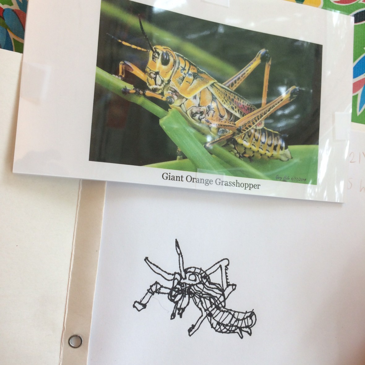 010d901e2d81e2cd52318ace47d9bfba5d5edf7c9b