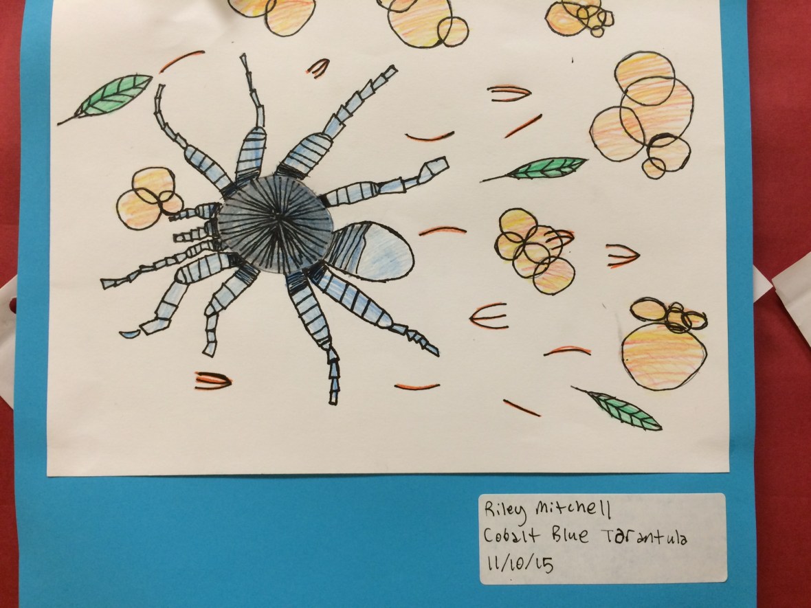 01226cd30615007ff8eb680805aae77257c05c4acf_00002