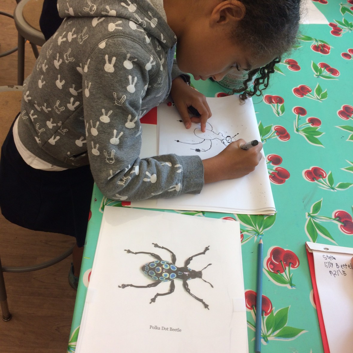 012270d4f3fc1cb08e731e5905e29d7c322e77a023