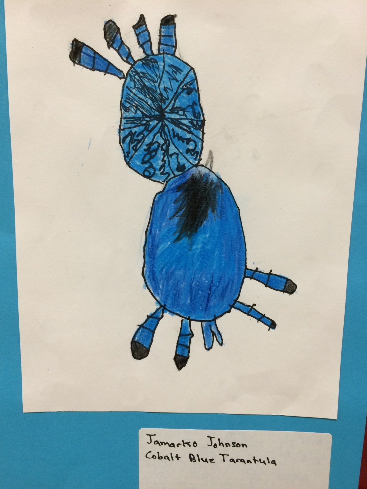 012cc773660bfb279a75bb87f8a852b7eea4c81117