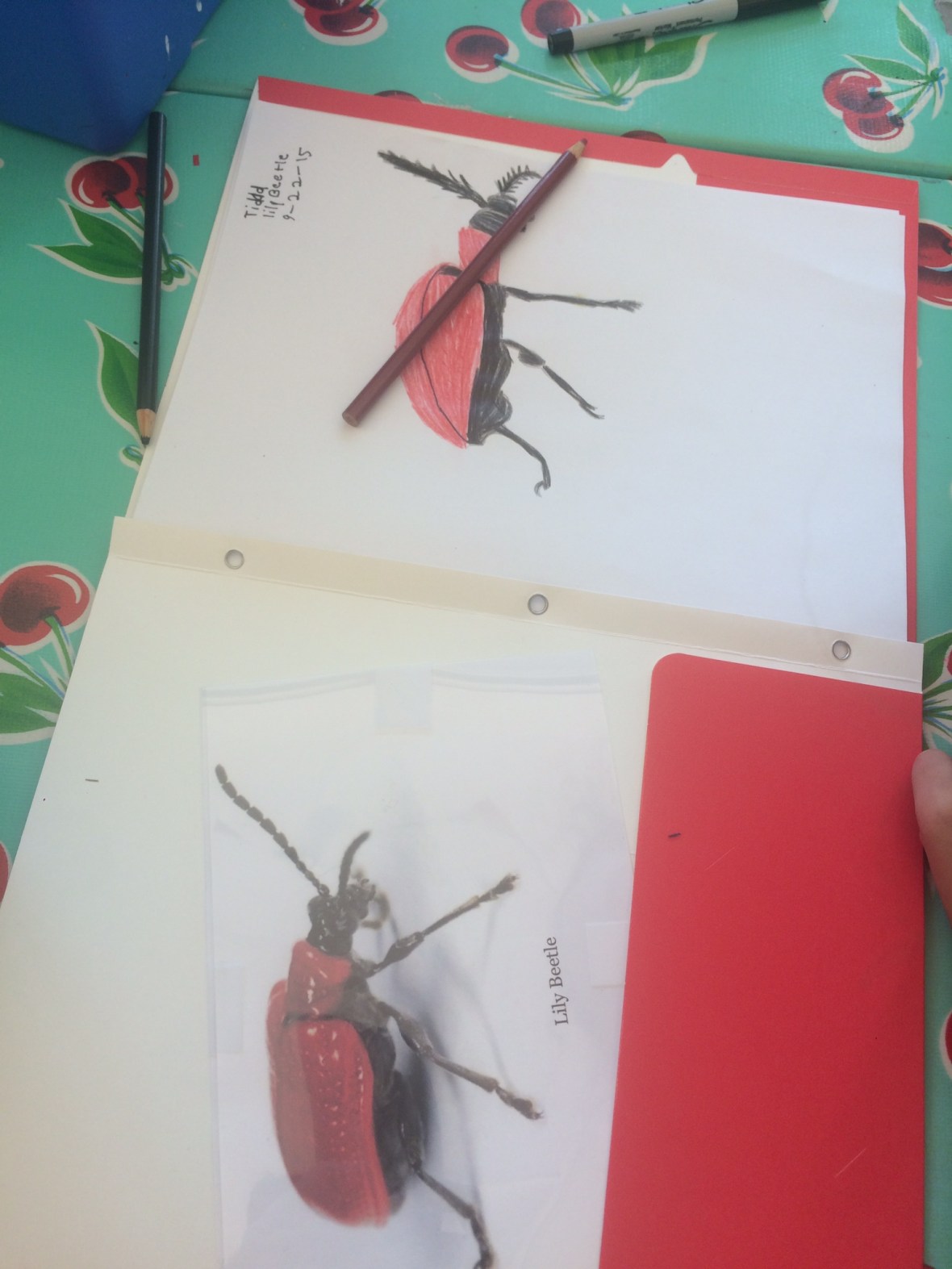 0138c8da071f1aaaeb026382a0b8088c09ae60d687