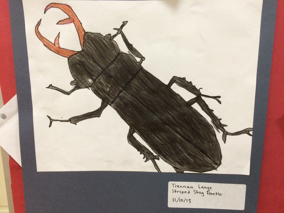 01415cbac909da571224e603f08a826c8031dba7ed