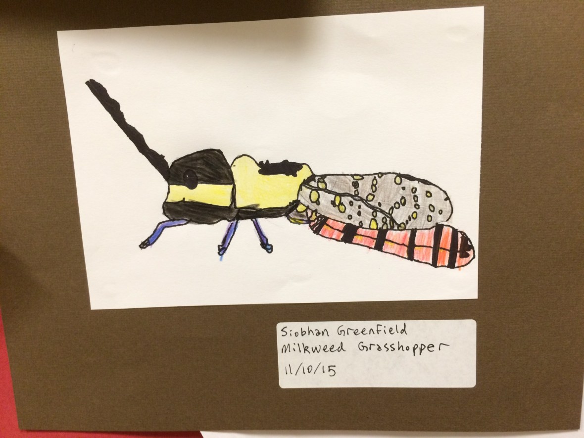 014c0d15f793705e53743b7b9b147eaccccbab844e