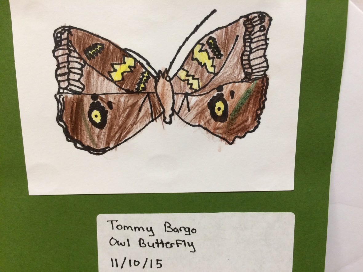 014f18115e7dbaa8951d4ea88eca03cf74c375c589