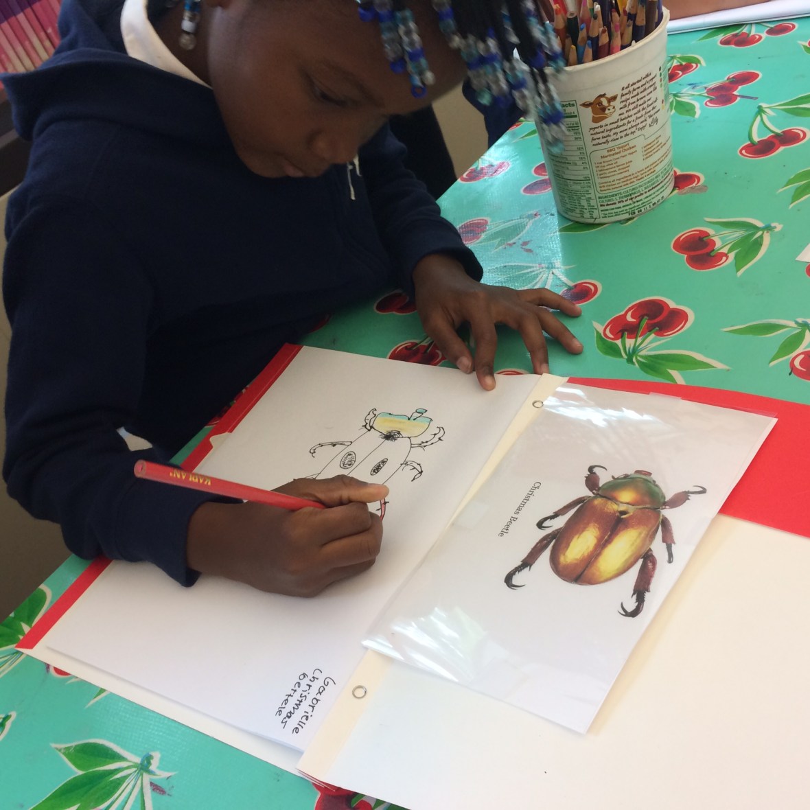 015589132e6d5c7899913009ffbba037389d351786