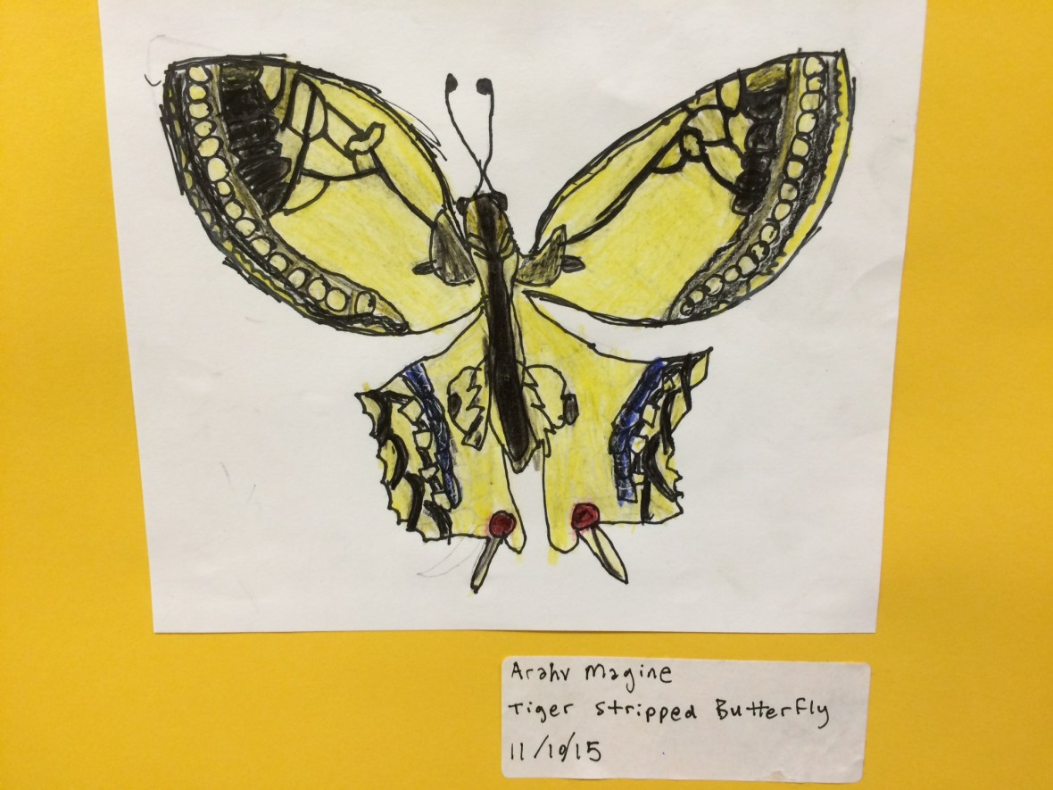 01587cc2f4abfd33e57a4a8d52ba9a9b89aa9bca54_00002