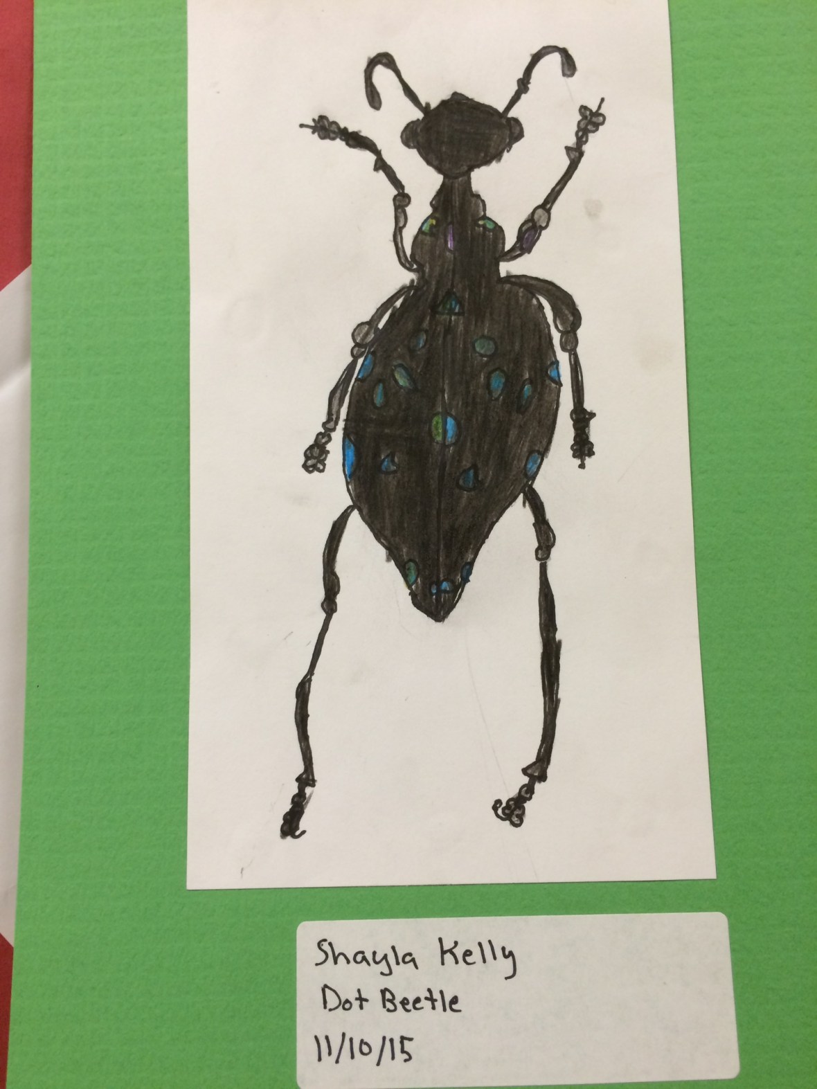 016cb2eba7b92c3051bf1bb49024f5807f47a1206f