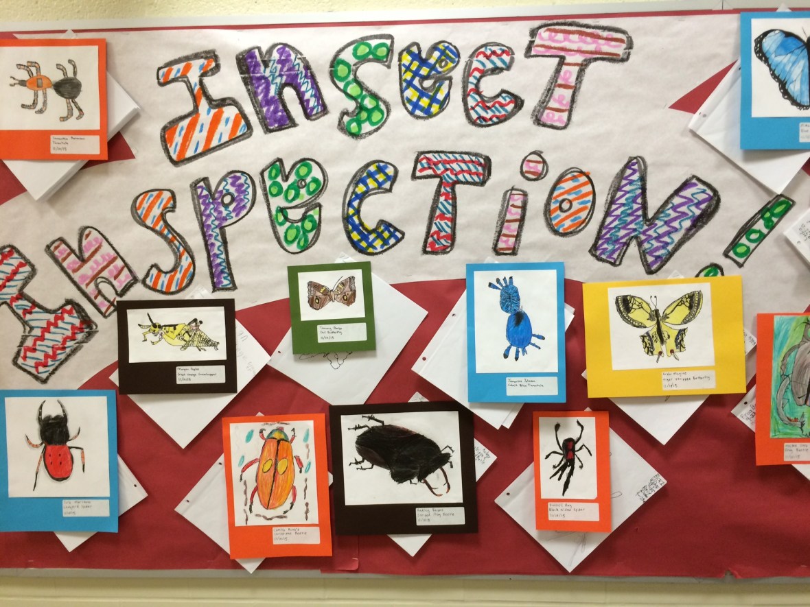 016f6ce6da1b02fdf73cba639ab0b60ab7494aec9c