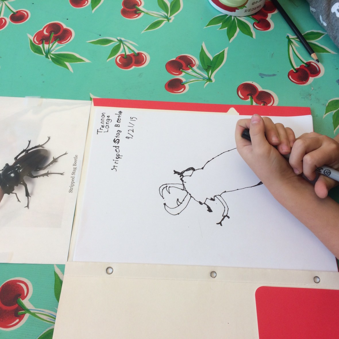 018ef8cf0a9717710cc220f3ad8c426c188740b810