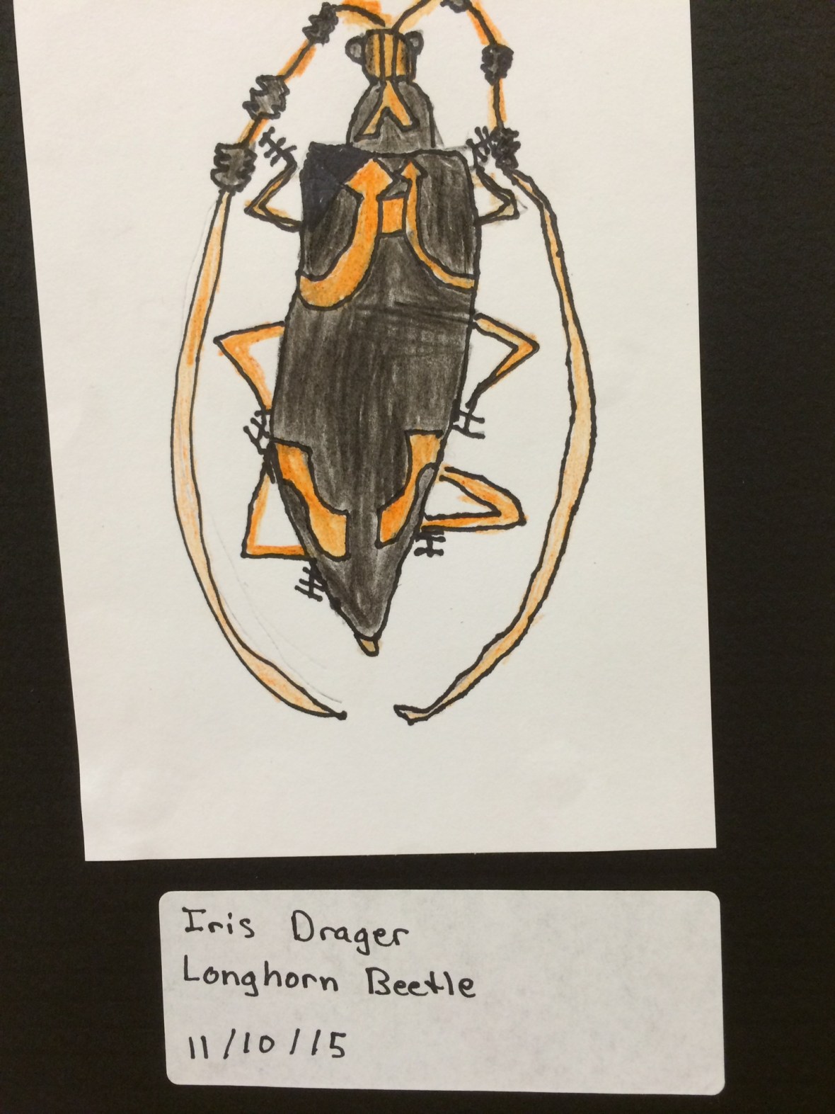 01904c224a42e45c0f13509b9c10a2602915d27671_00002