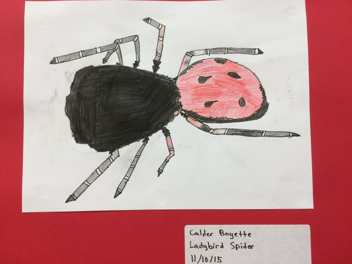 0192a77fd8d0bb70a596a6457bb907c278b91bd754_00001