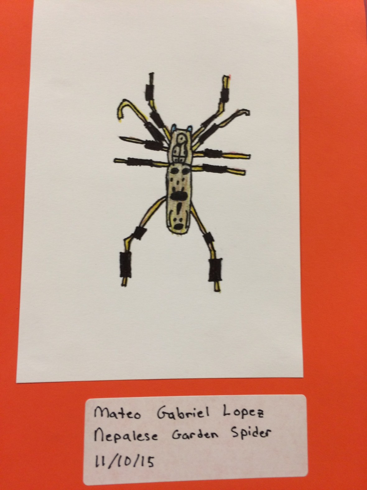 01a79aa852aae5fb29e8081ce2cd8c7cb4309849cd