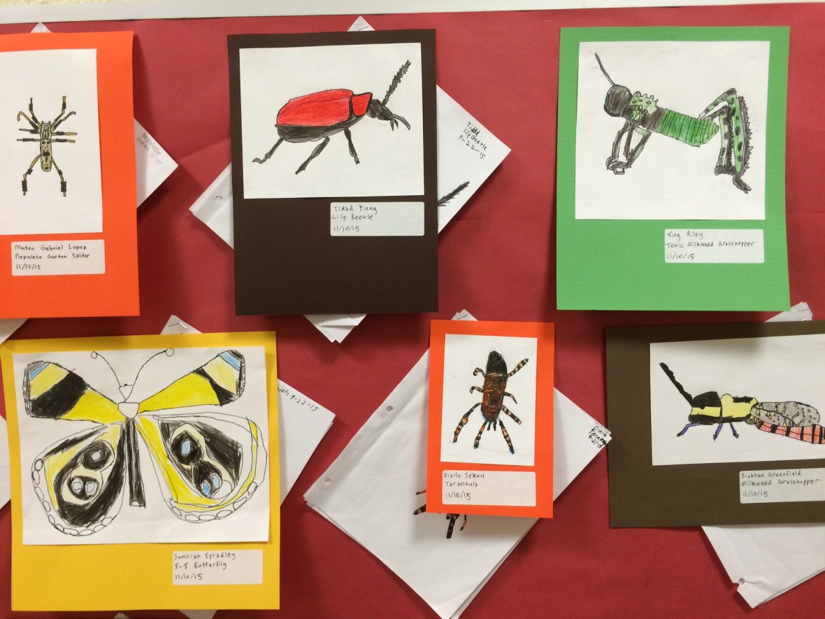 01b9badae757faf09f47c2b3a0f7c8908d0653a87b