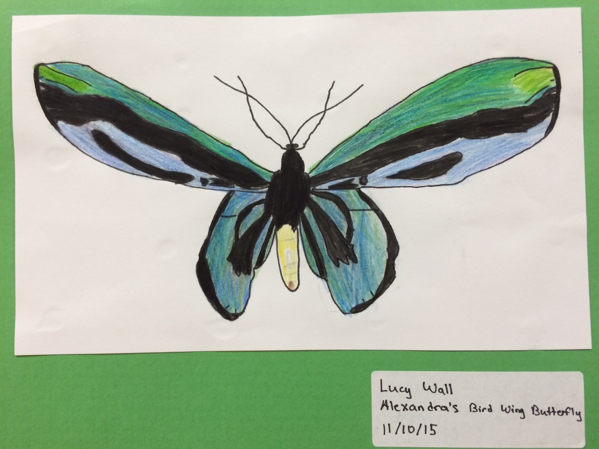 01bfc28f94d85e300dda816ad115f37937b899283a