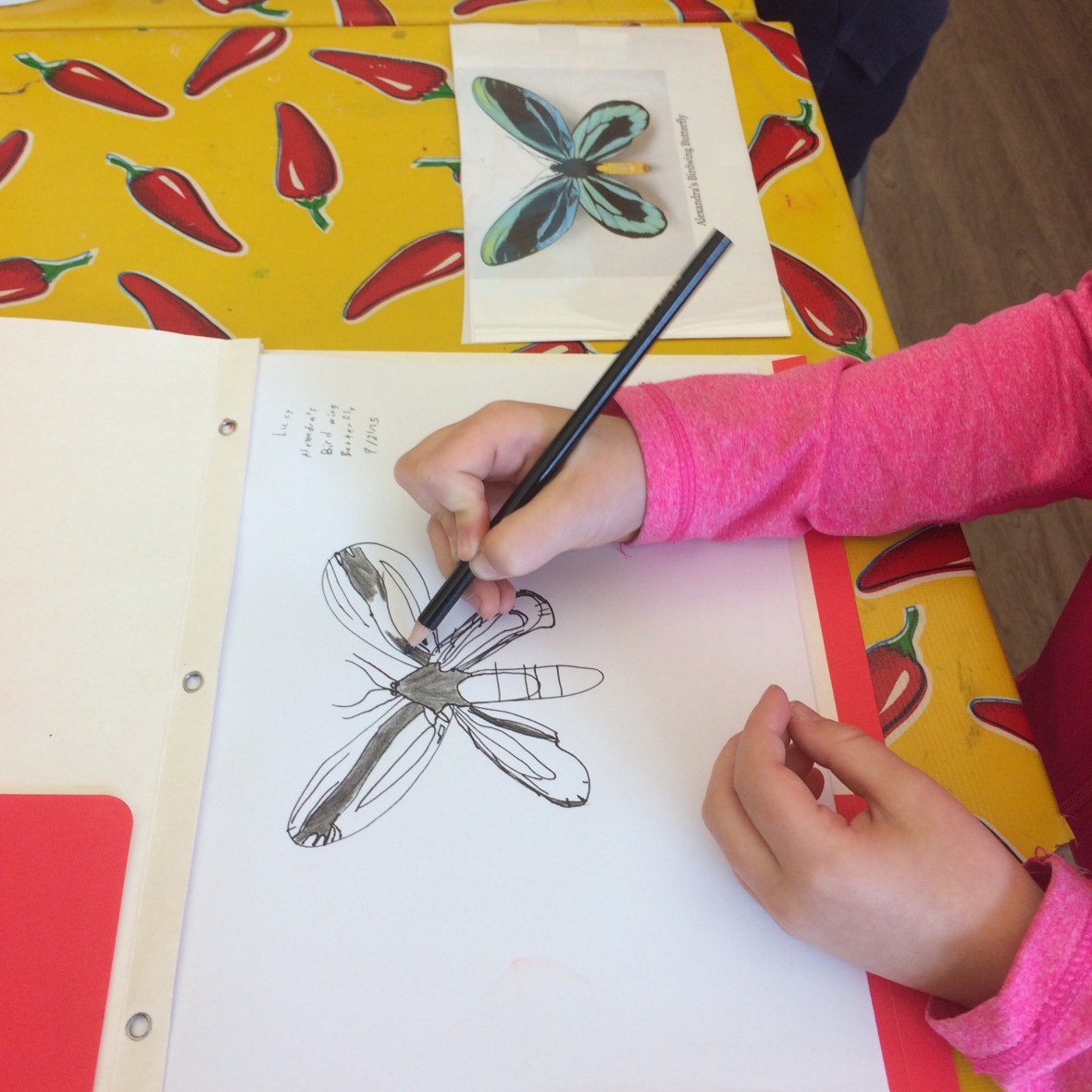 01c2472945c9c6aa1c35dcb3c0e7bf7e97a73f90c4