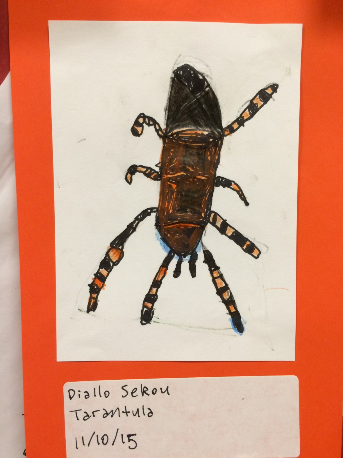 01d8e167c34ab0c4d62c03312bf9bbbb4d5e525b89