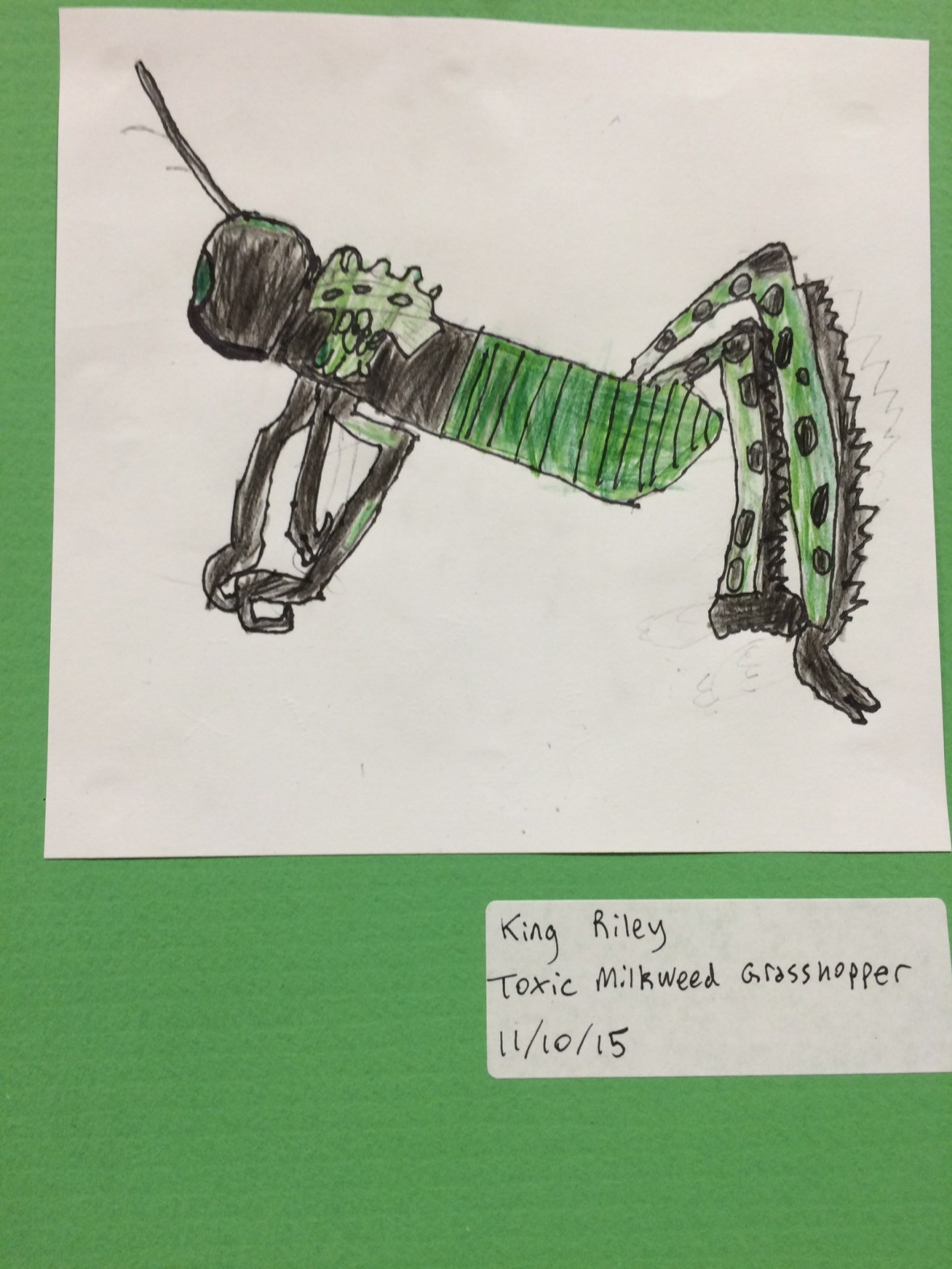 01ec5d8d29cbdb9e45c6ae7c016926fb79868270f8