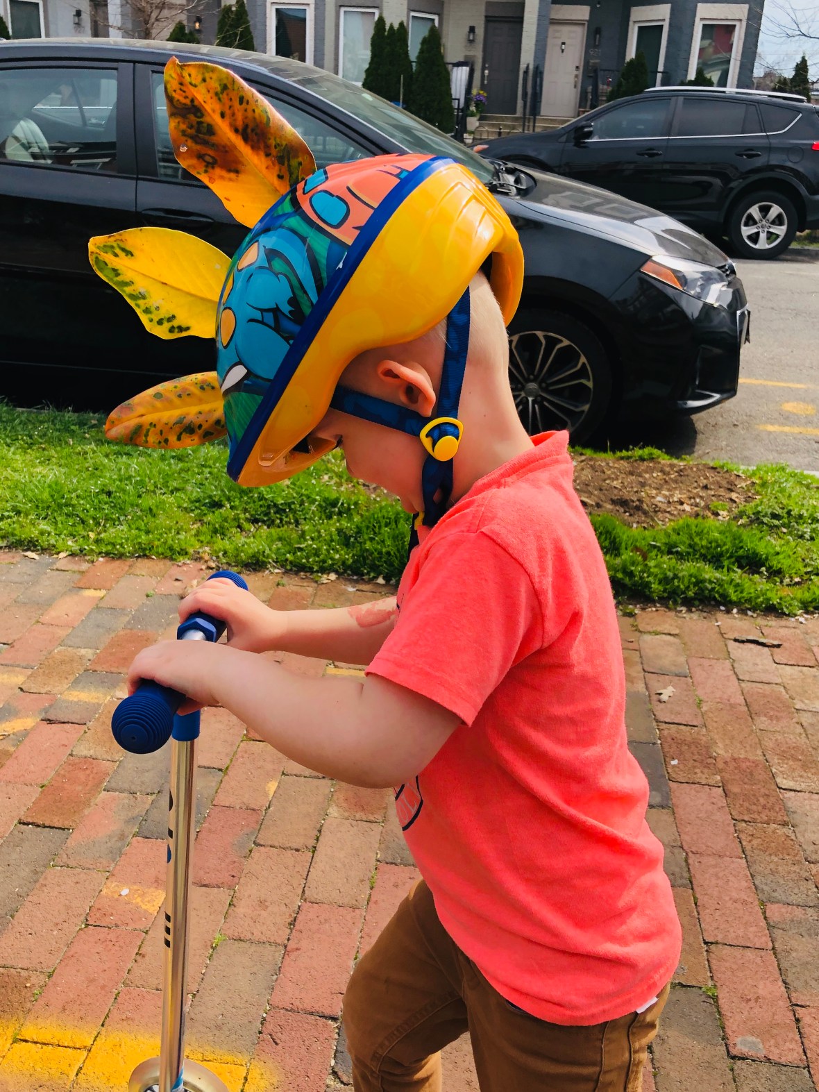 C9035EBA-58F9-4A5C-B7BA-5E5806887D3D