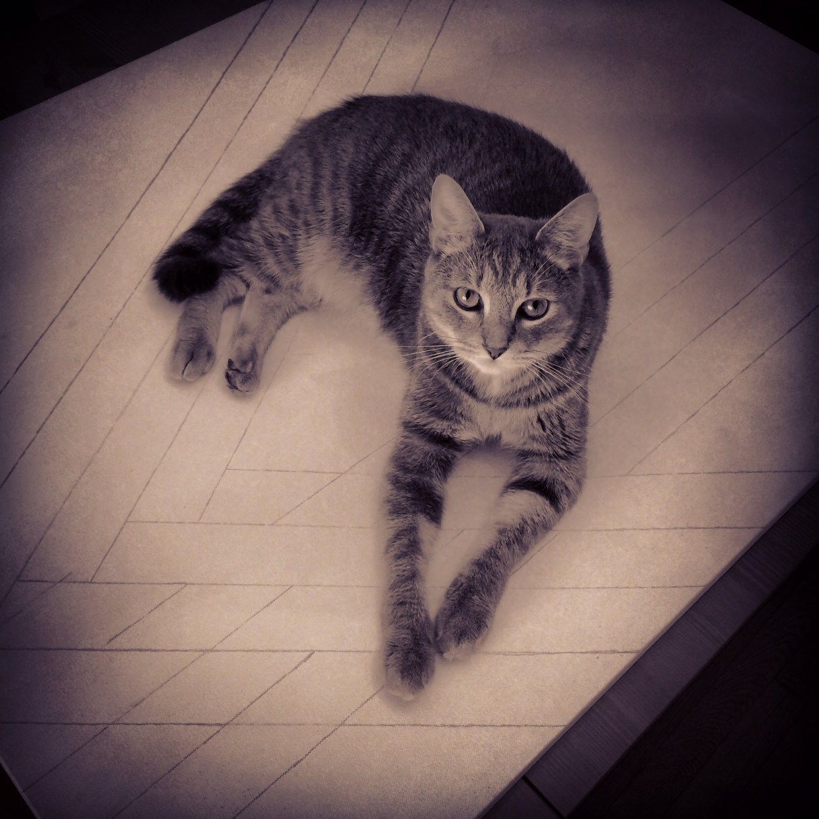 01b2abf7917e3fd604ddf85b185e46b6acfeed6a38 (2017_01_03 03_23_10 UTC)